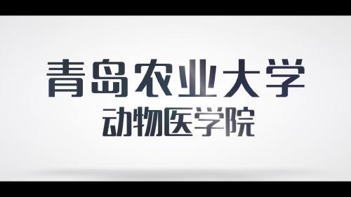 动物药学专业2020招生宣传